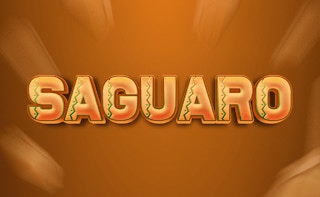 Saguaro - Play free online arcade games on BrickBreaker.app